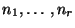 $n_1,\ldots
,n_r$